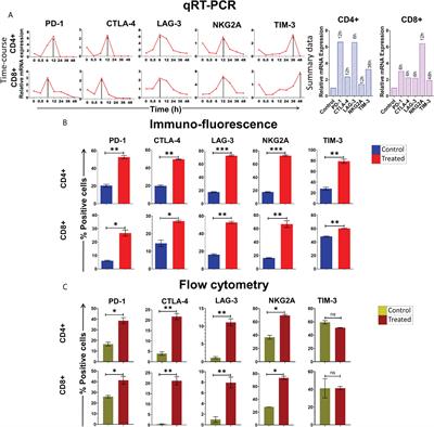 Cell-free chromatin particles released from dying cancer cells activate immune checkpoints in human lymphocytes: implications for cancer therapy
